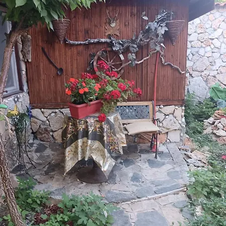 Andrada Garsoniera 2