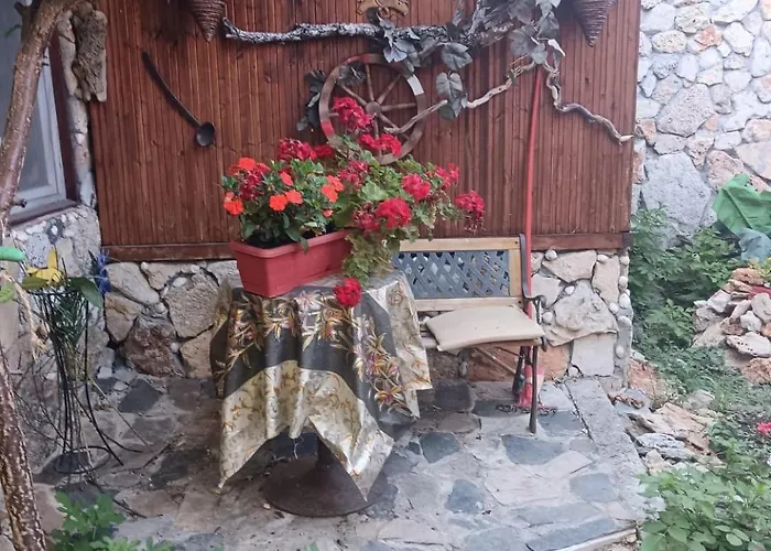 Andrada Garsoniera 2